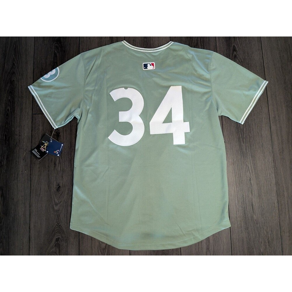 ⚾ David Ortiz #34 Boston Red Sox City Connect Jersey Green Monster Large - Picture 3 of 3